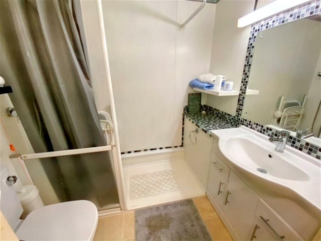 image6 (Large) (Large).jpg
