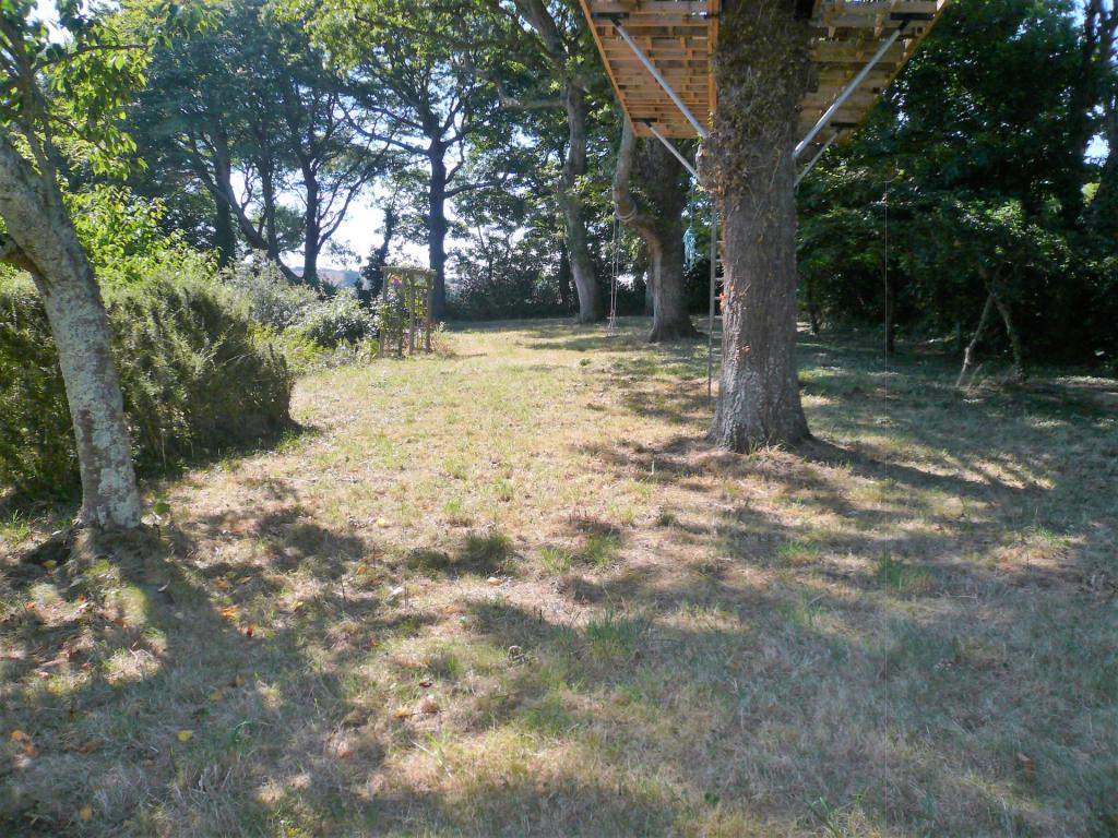 Side Garden