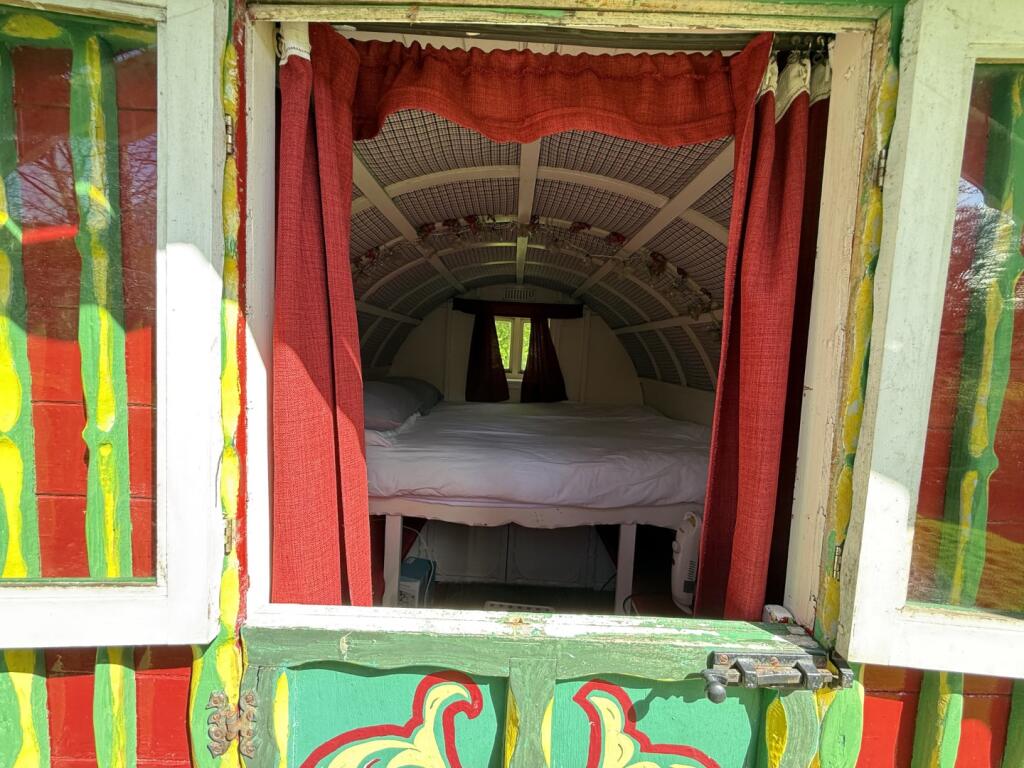 IMG 5339  Large  T202505021202.jpeg