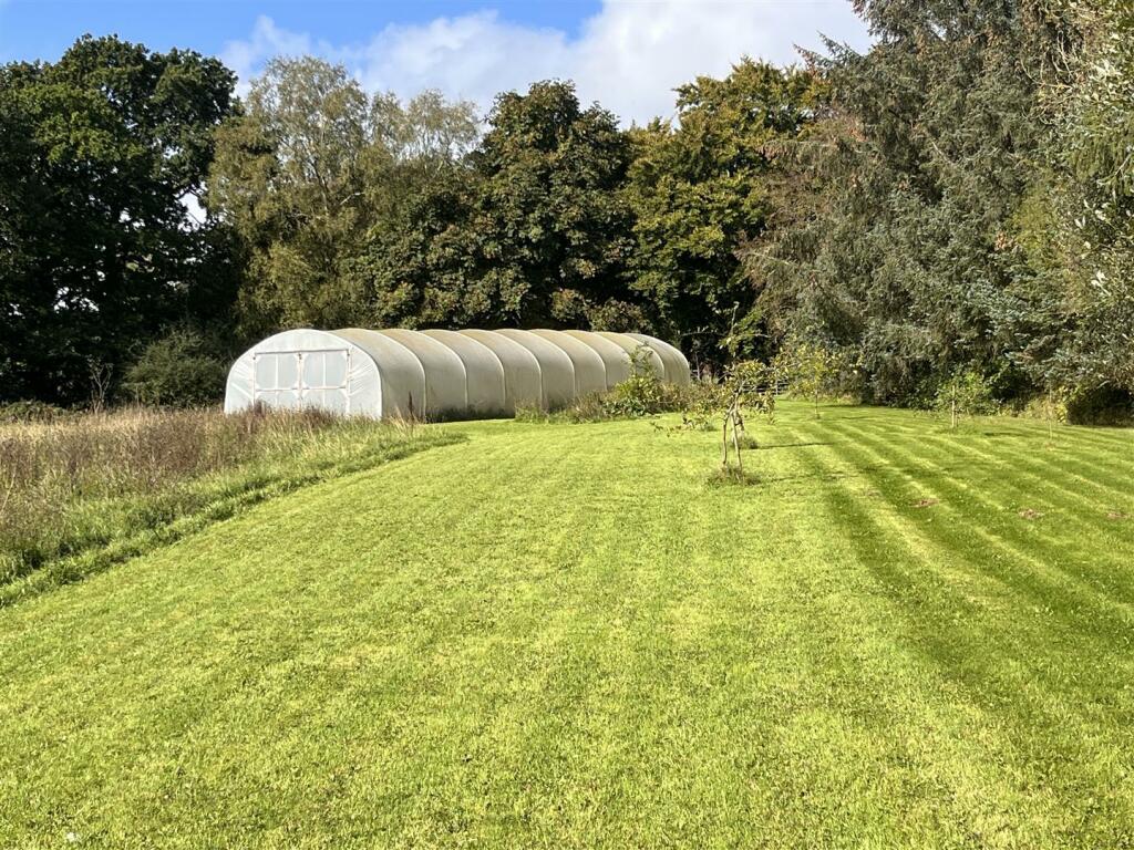 Polytunnel