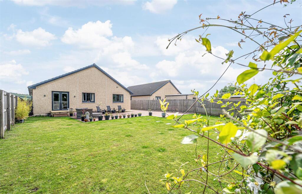 untitled (23 of 1).JPG