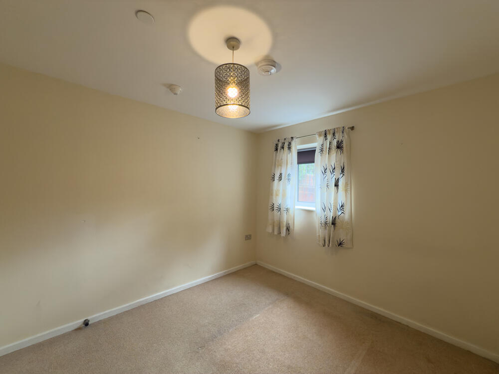 IMG 0728 T202507051323.jpg