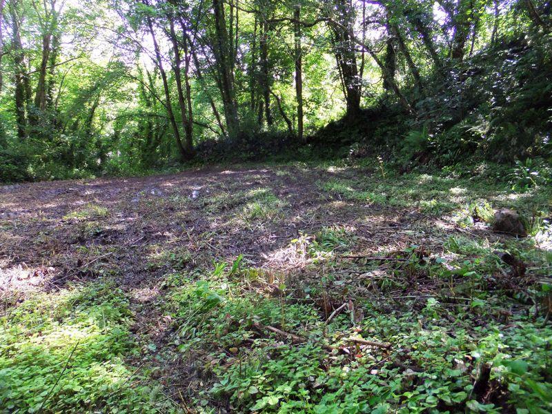 LOT 2