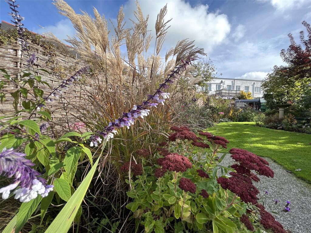 Garden - Summer 2023