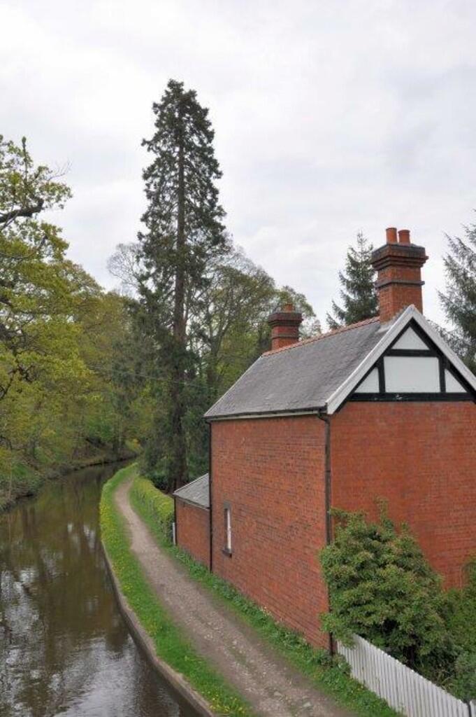 7482_33131884_IMG...