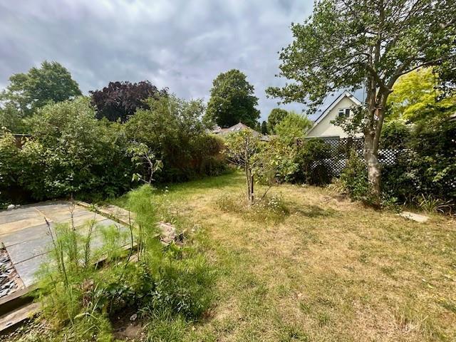 86a Alexandra Road garden.jpg