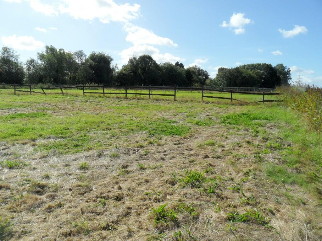 PADDOCK LAND