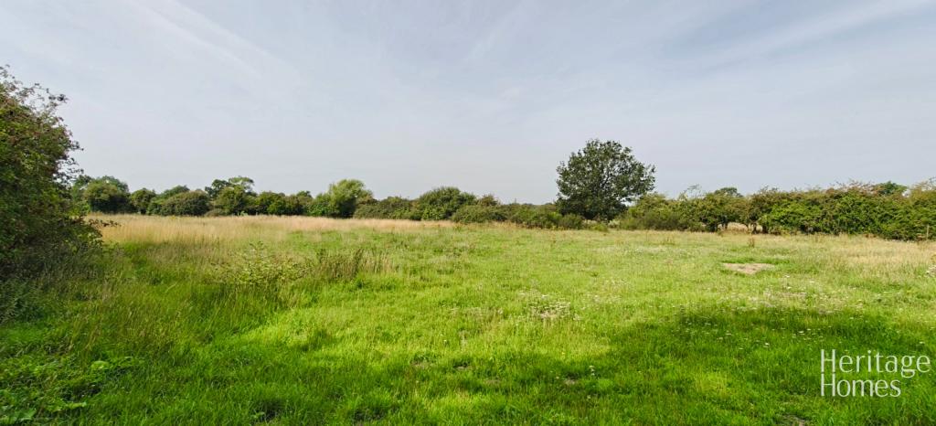 IMG20250813102708-fotor-2025081414848