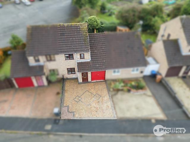 AERIAL1.jpg