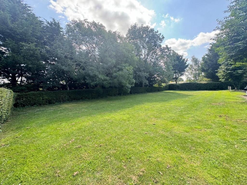 WhatsApp Image 2024-07-29 at 12.05.26_dd94f082.jpg