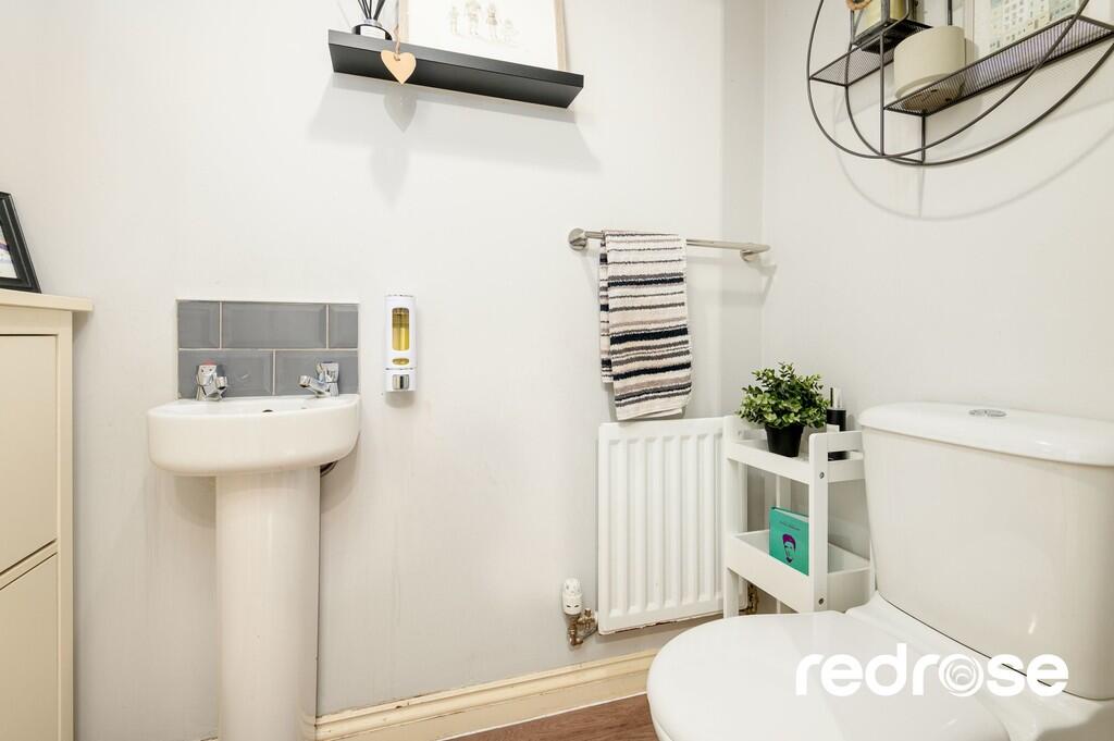 web_16 Old Thorns...