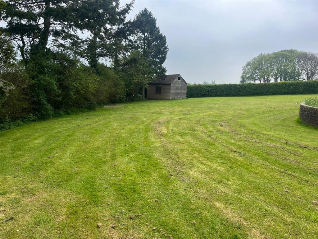 Redevelopment Option