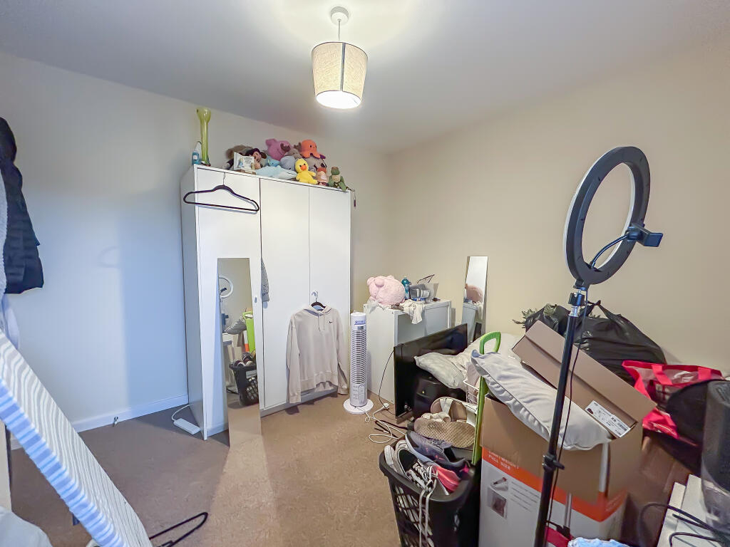 IMG 7114 T202510210947.jpg