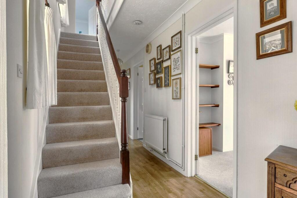 IMG_1224 - Copy - Copy.jpeg