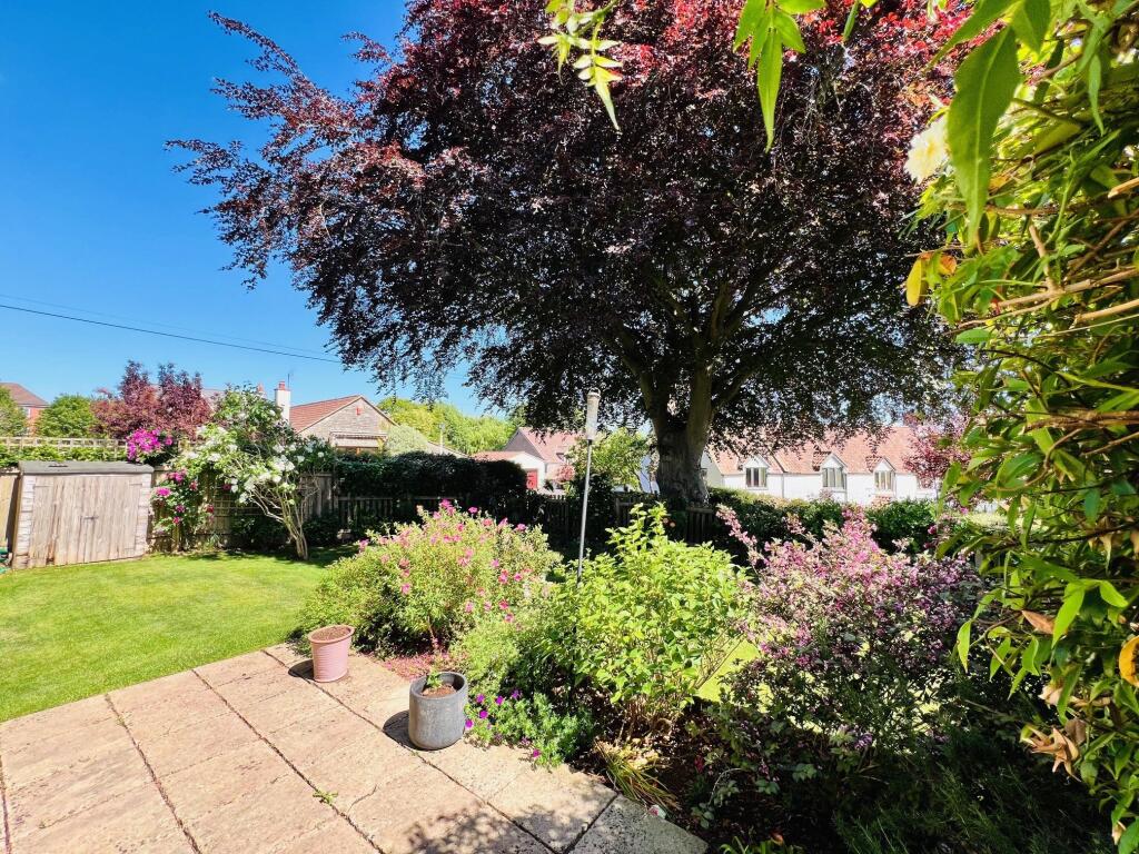 Patio &amp; Garden