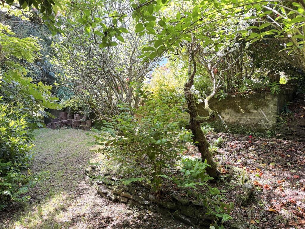 Lower Rear Garden