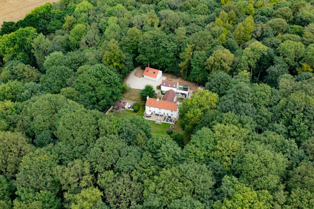 DJI_0067.jpg