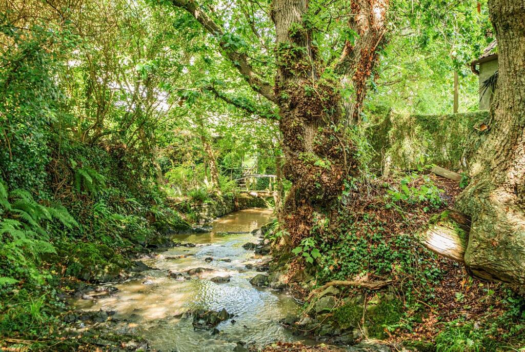 1352408-1-68c48a1b7024f Elevated (11).jpg