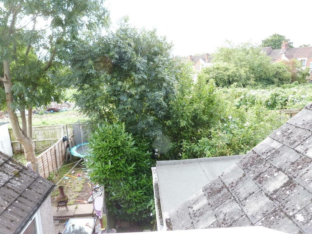 Eld Road.reargdn.jpg