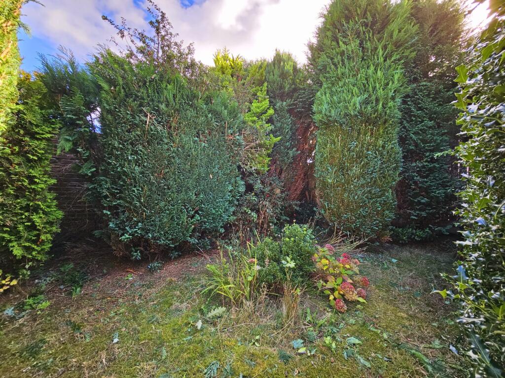 15a587b6-bbf6-423f-95ba-0e142d003a5d