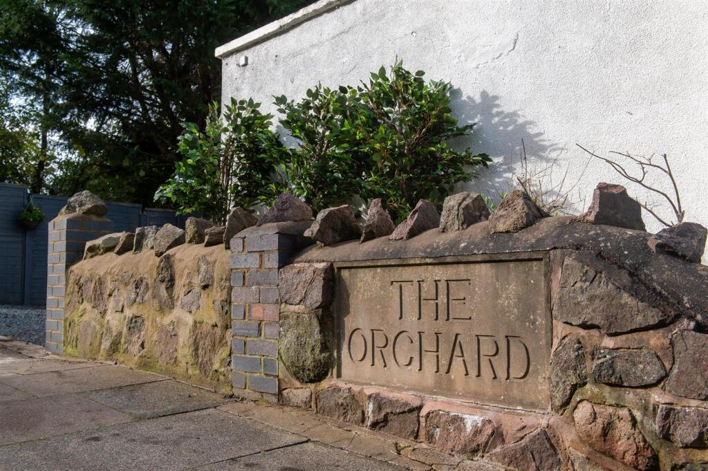 The Orchard.jpg
