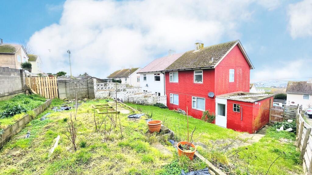Back garden