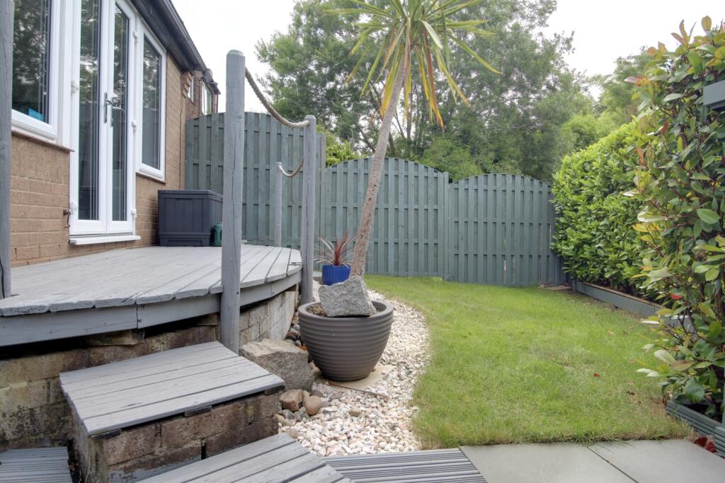 More of the back garden