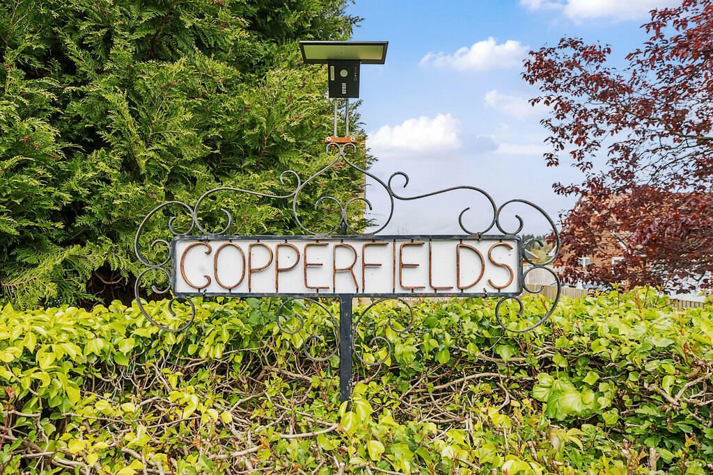 IMG_12217_22_larg...