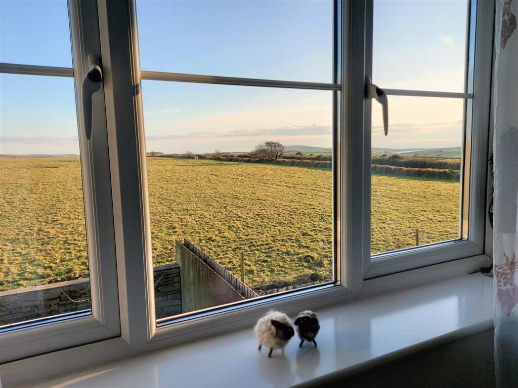 View from the Bedroom