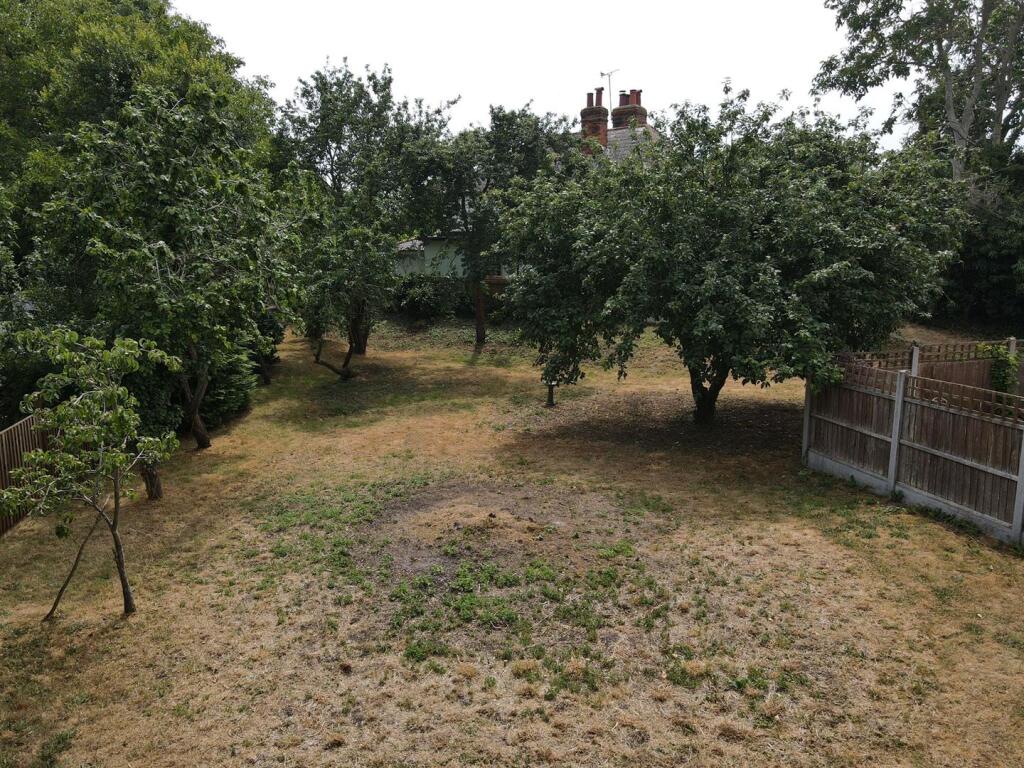 orchard