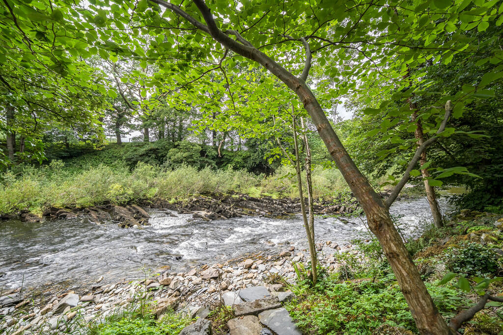 Riverside Setting