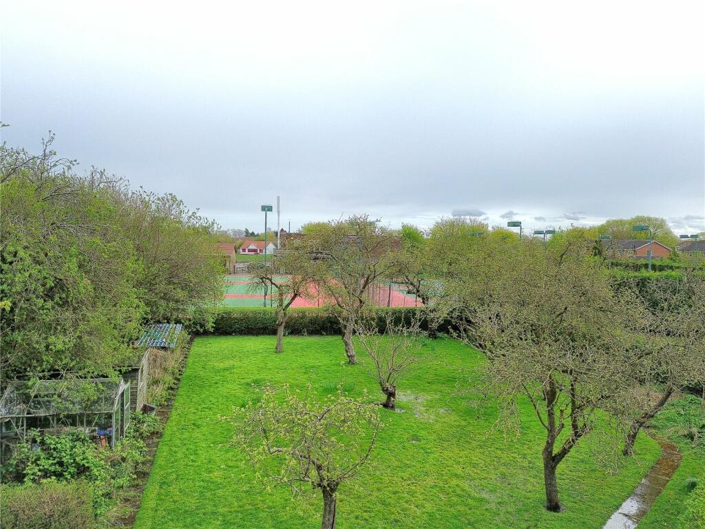 Picture No. 10