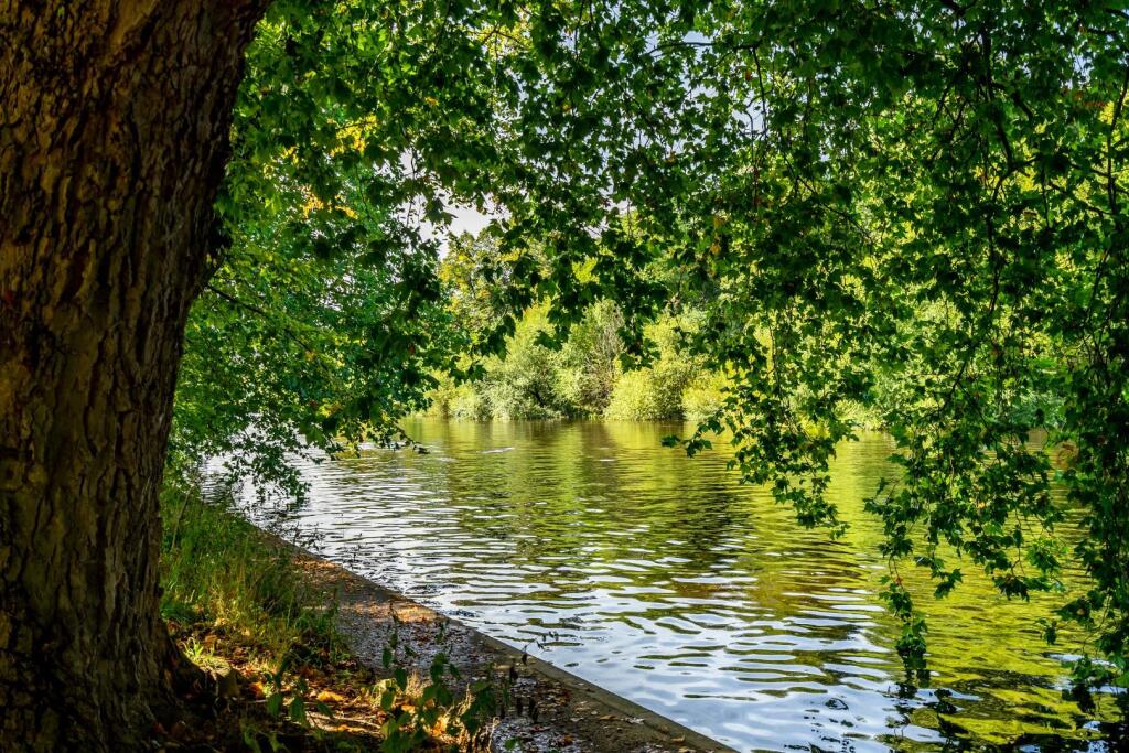 flat 4 80 alma terrace-29.jpg