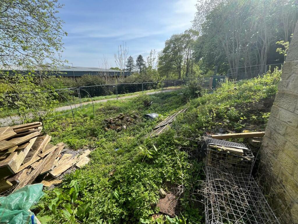 WhatsApp Image 2024-05-10 at 10.00.43 AM (6).jpeg