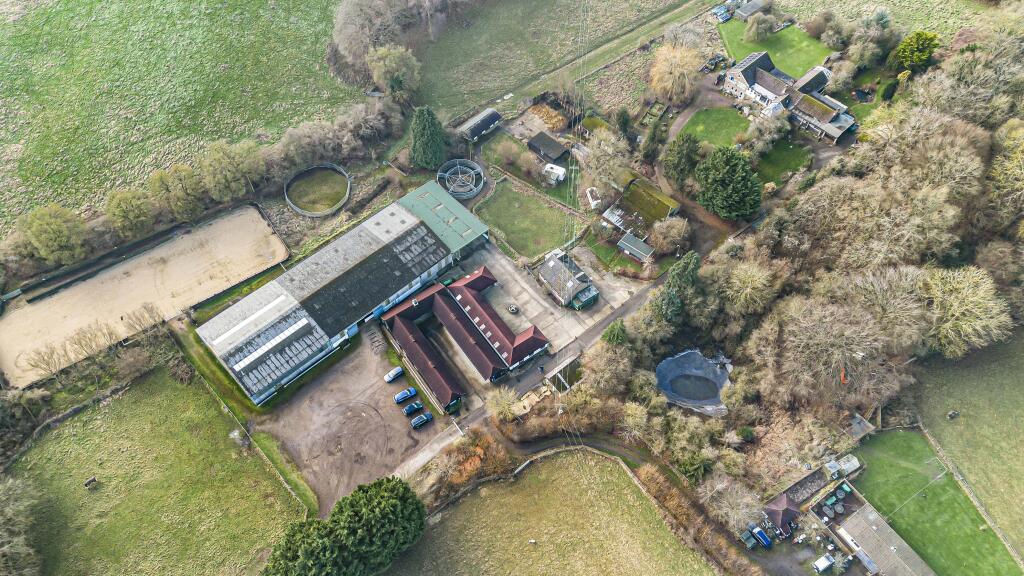 Ariel View