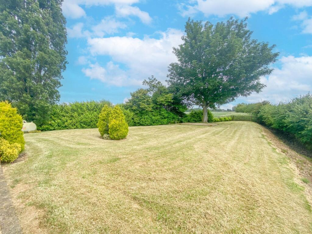 Grass