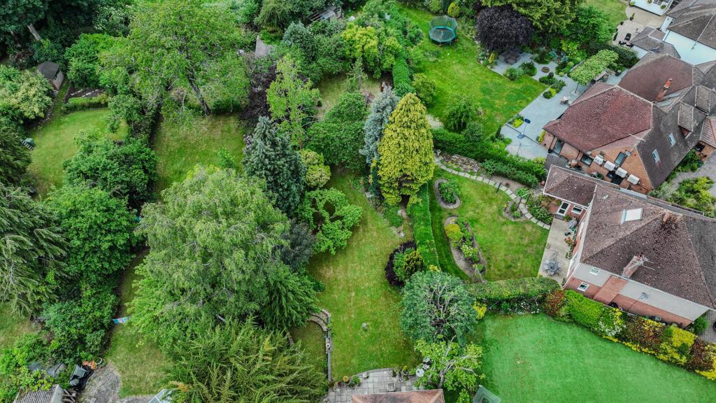 Ariel view of garden
