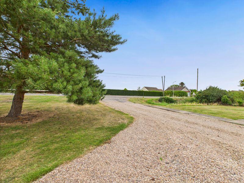 Front Garden/Driveway