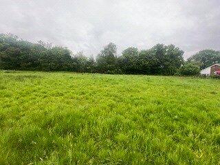 Picture No. 09