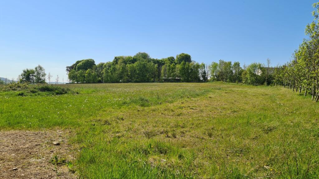 4.9 Acres of Agricultural Land