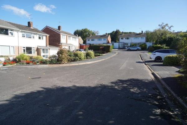 Street Setting
