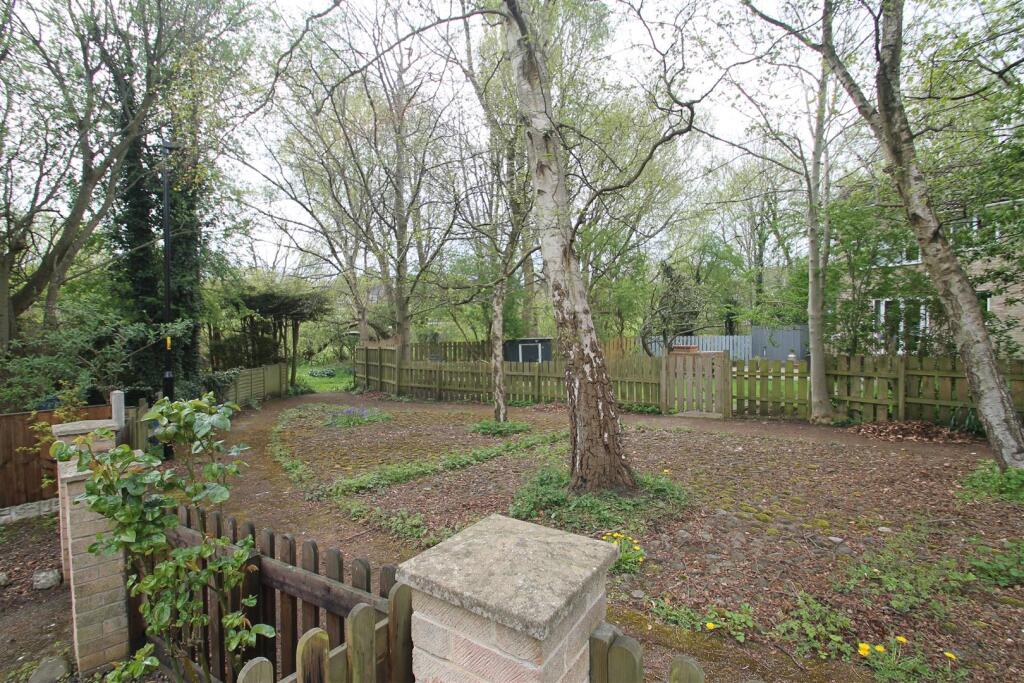 woodland area.JPG