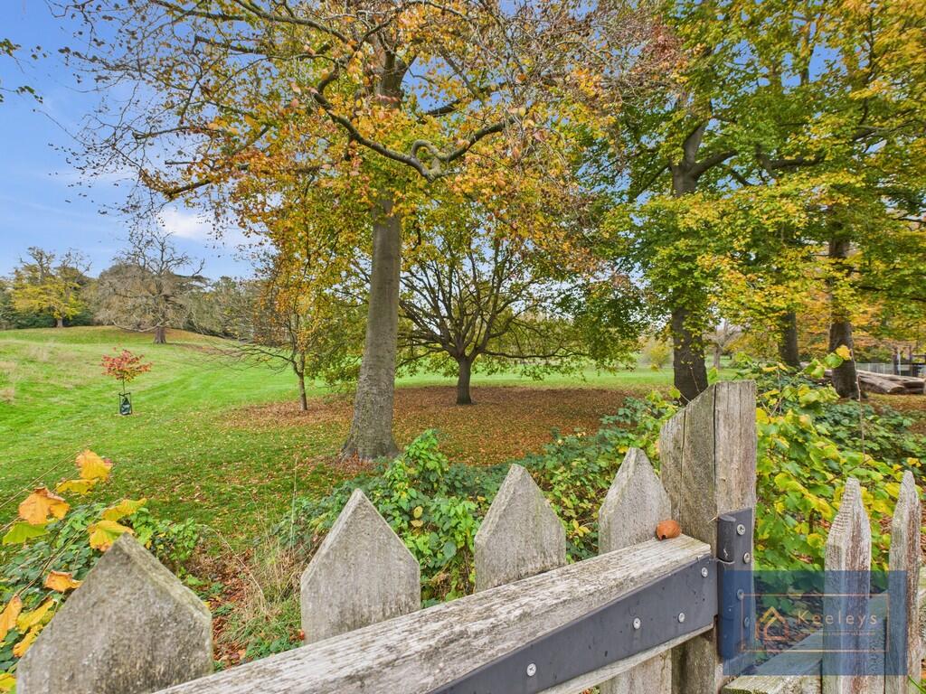 Back garden overl...