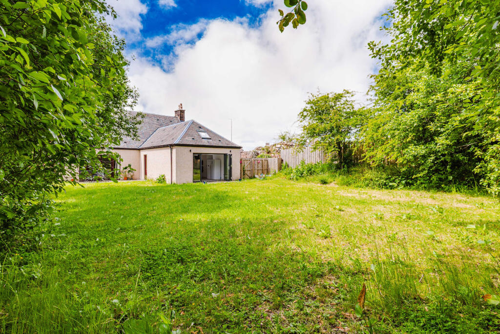 Rear garden 4