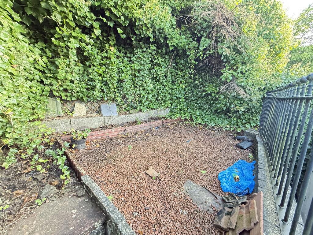 IMG 2288 T202512191159.jpg