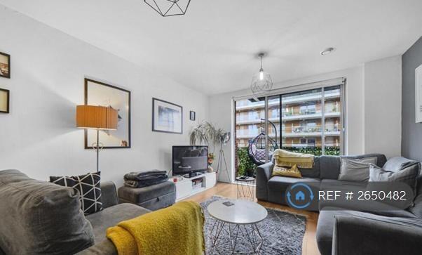 Living / Kitchen Area