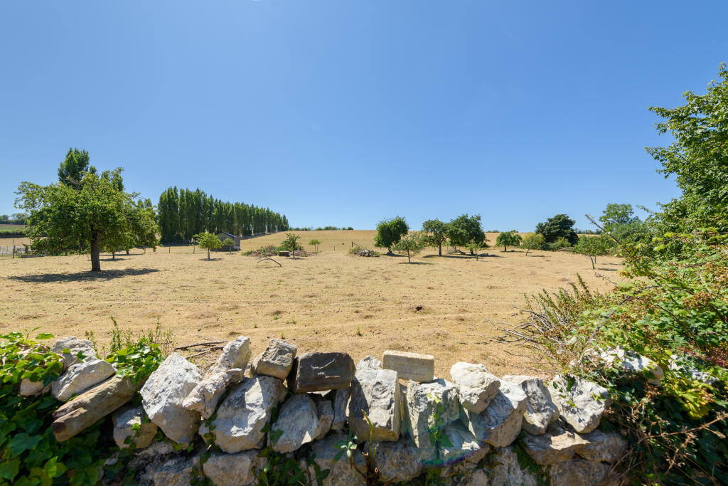 TEK HiRes 250711 010