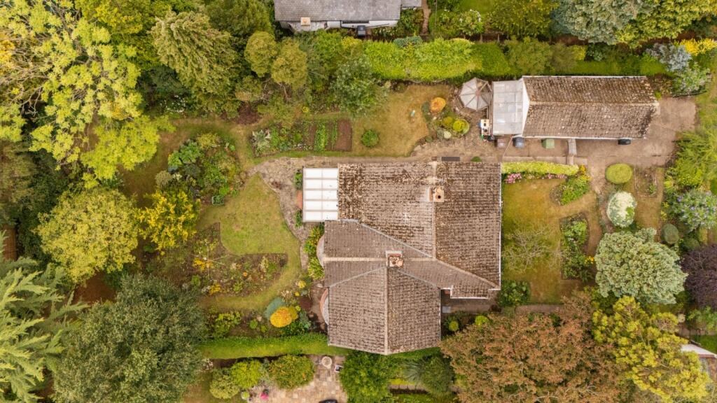Elevated Shot