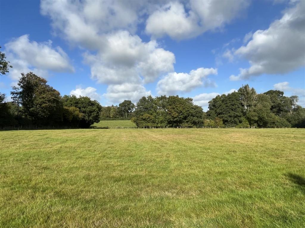 Small Paddock