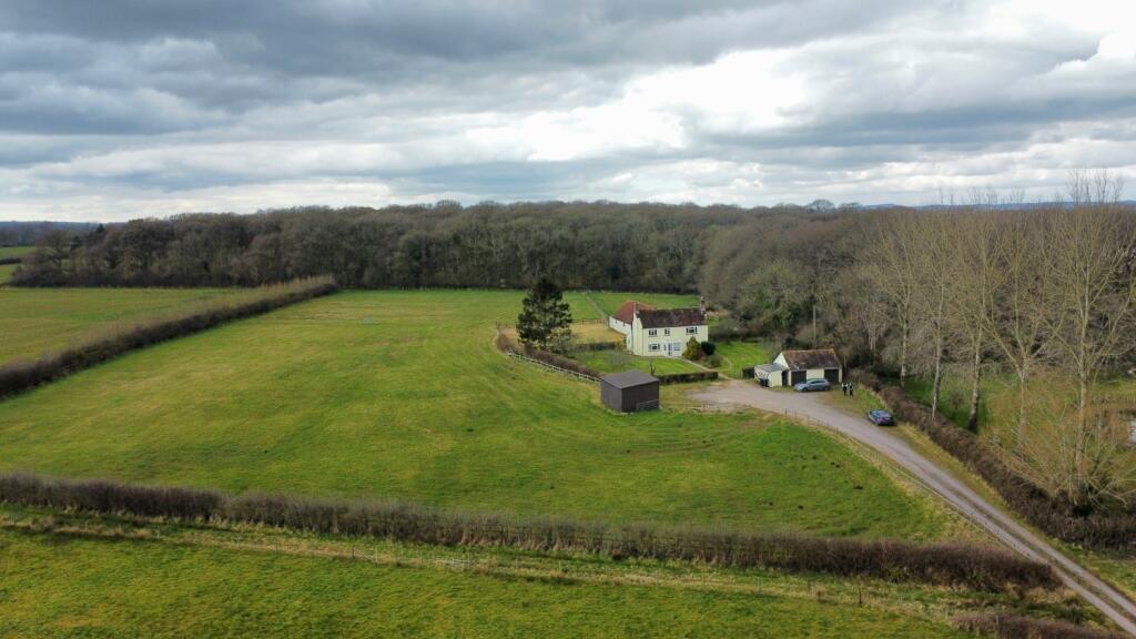 dji_fly_20250313_124852_566_1741870423916_photo_op